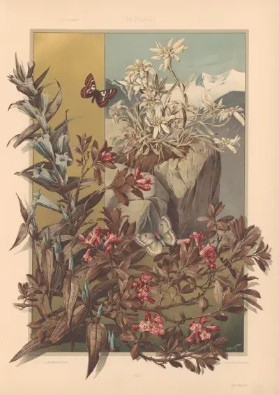 Die Pflanze in Kunst und Gewerbe (The Plant in Art and Industry) Pl.160 av Anton Seder
