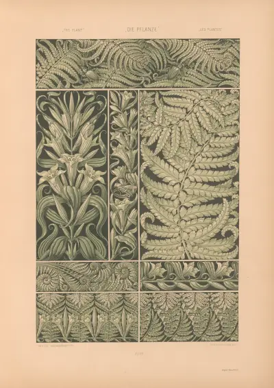 Die Pflanze in Kunst und Gewerbe (The Plant in Art and Industry) Pl.162 av Anton Seder
