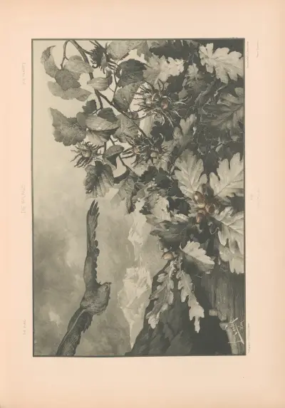 Die Pflanze in Kunst und Gewerbe (The Plant in Art and Industry) Pl.166 av Anton Seder