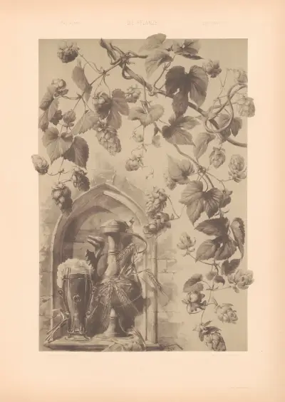 Die Pflanze in Kunst und Gewerbe (The Plant in Art and Industry) Pl.178 av Anton Seder