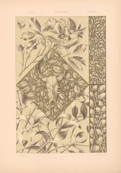Die Pflanze in Kunst und Gewerbe Pl. 180 von Anton Seder