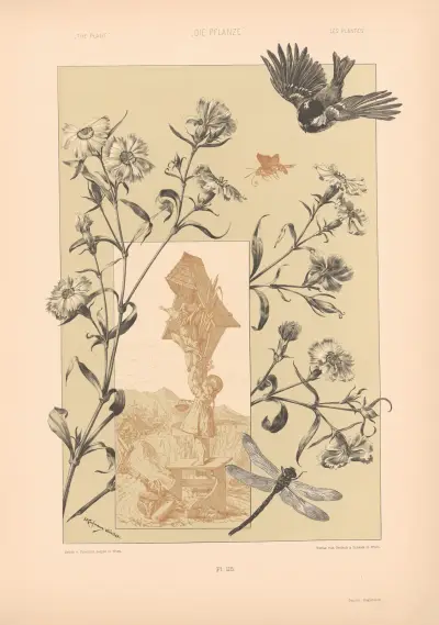 Die Pflanze in Kunst und Gewerbe, Tafel 186 von Anton Seder