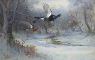 Blackcock And Grouse In Flight – Winter av Archibald Thorburn