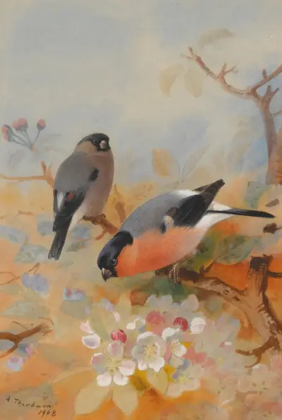 Domherrar av Archibald Thorburn