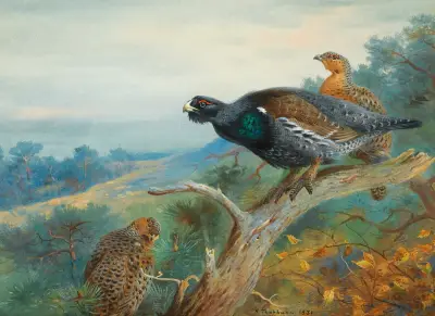 Capercaillie av Archibald Thorburn