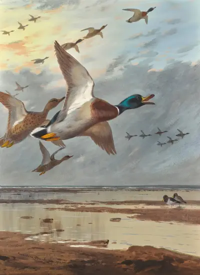 Coming In From The Sea av Archibald Thorburn