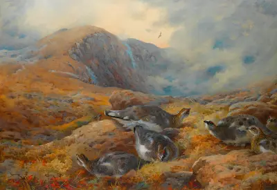 Danger Aloft – Ptarmigan av Archibald Thorburn