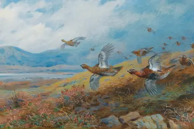 Orrspel av Archibald Thorburn