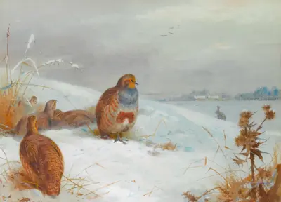 Hard Times – Partridges And A Hare av Archibald Thorburn
