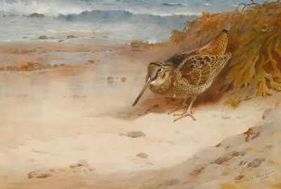 Hungry And Homeless av Archibald Thorburn
