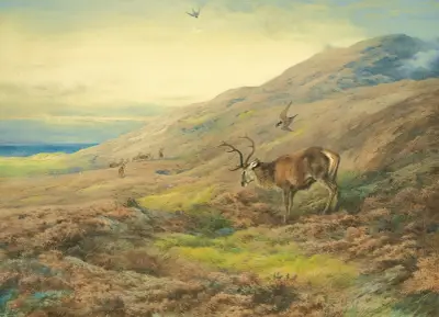 In The Highlands, Red Stag Mobbed By A Pair Of Peregrines av Archibald Thorburn