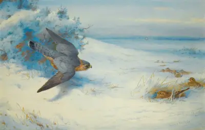 Merlin och lärkor av Archibald Thorburn