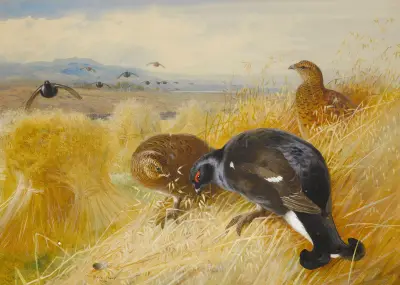 On The Stooks,Blackgame av Archibald Thorburn