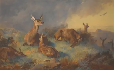 De vaksamma hindarna av Archibald Thorburn