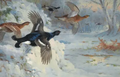 Through The Snowy Coverts-Blackgame av Archibald Thorburn