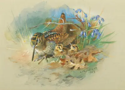 Morkulla och unge av Archibald Thorburn