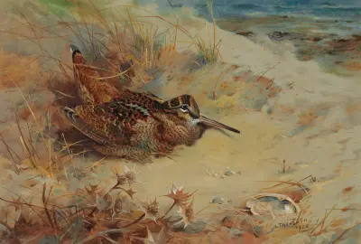 Morkulla i skydd bland sanddynerna av Archibald Thorburn
