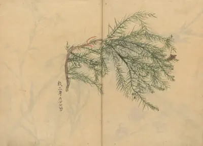 Sketchbook Pl.003 av Ariyoshi Kondo