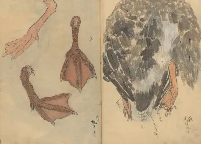 Sketchbook Pl.020 av Ariyoshi Kondo