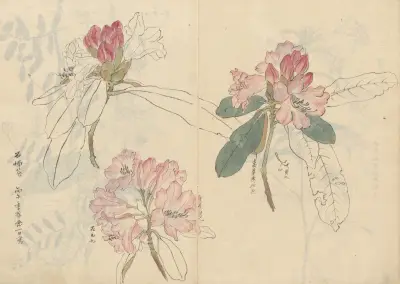 Sketchbook Pl.024 av Ariyoshi Kondo