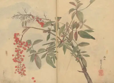Sketchbook Pl.029 av Ariyoshi Kondo