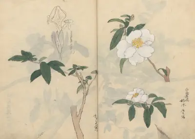 Sketchbook Pl.030 av Ariyoshi Kondo