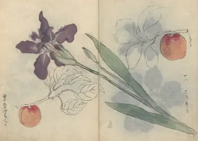 Sketchbook Pl.045 av Ariyoshi Kondo