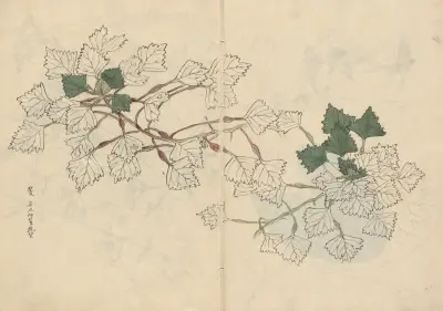 Sketchbook Pl.057 av Ariyoshi Kondo