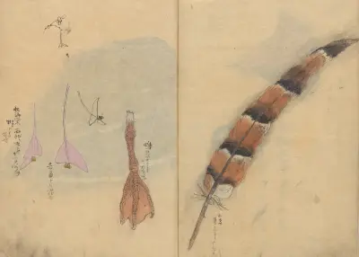Sketchbook Pl.065 av Ariyoshi Kondo