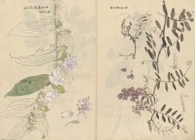 Sketchbook Pl.072 av Ariyoshi Kondo
