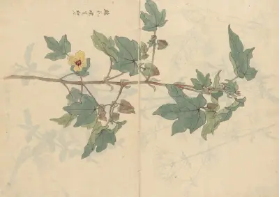 Sketchbook Pl.075 av Ariyoshi Kondo