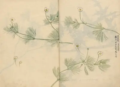 Sketchbook Pl.079 av Ariyoshi Kondo