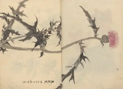 Sketchbook Pl.083 av Ariyoshi Kondo