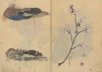 Sketchbook Pl.086 av Ariyoshi Kondo