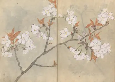 Sketchbook Pl.088 av Ariyoshi Kondo