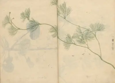 Sketchbook Pl.089 av Ariyoshi Kondo