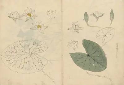 Sketchbook Pl.100 av Ariyoshi Kondo