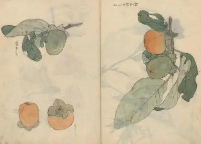 Sketchbook Pl.106 av Ariyoshi Kondo
