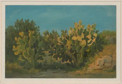 Kaktusar på Capri av Arthur Blaschnik