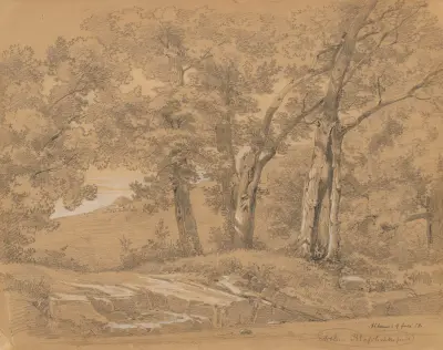 In einem Wald bei Albano von Arthur Blaschnik