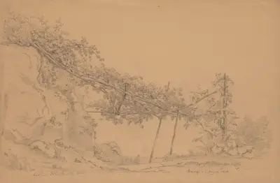 Pergola mit Weinranke in Amalfi von Arthur Blaschnik
