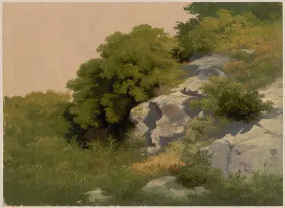 Rocks overgrown with lush vegetation av Arthur Blaschnik