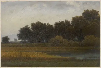 Blick auf eine Wiese mit Teich von Arthur Blaschnik