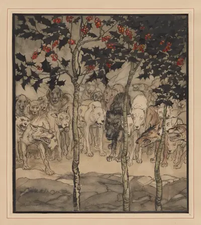 Irländska sagor. Fylld av vildhet och skräck av Arthur Rackham