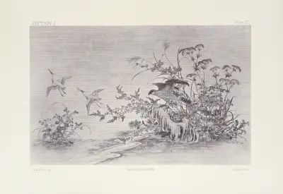 Japanska ornamentala konsthantverk, plansch 9 av George Ashdown Audsley