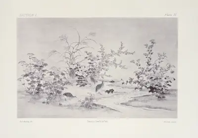 The ornamental arts of Japan Pl.010 av George Ashdown Audsley