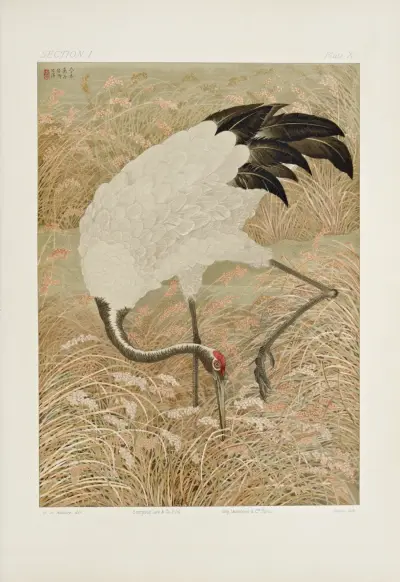 The ornamental arts of Japan Pl.016 av George Ashdown Audsley
