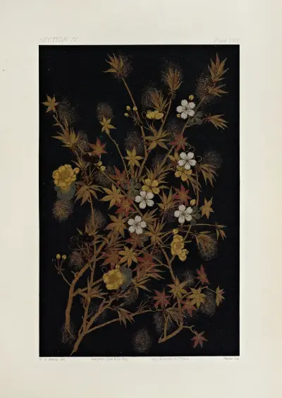 The ornamental arts of Japan Pl.052 av George Ashdown Audsley