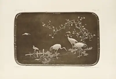 Japanska ornamentala konster, pl. 81 av George Ashdown Audsley