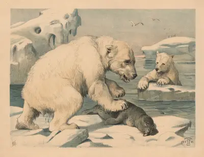 Isbjørne (Variant) (1892_1892) – nr 1 av Oluf August Hermansen